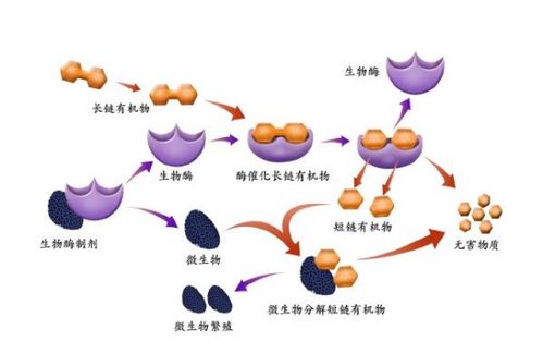 为什么生物酶宠物消毒产品越来越流行 今天我们详细分析一下